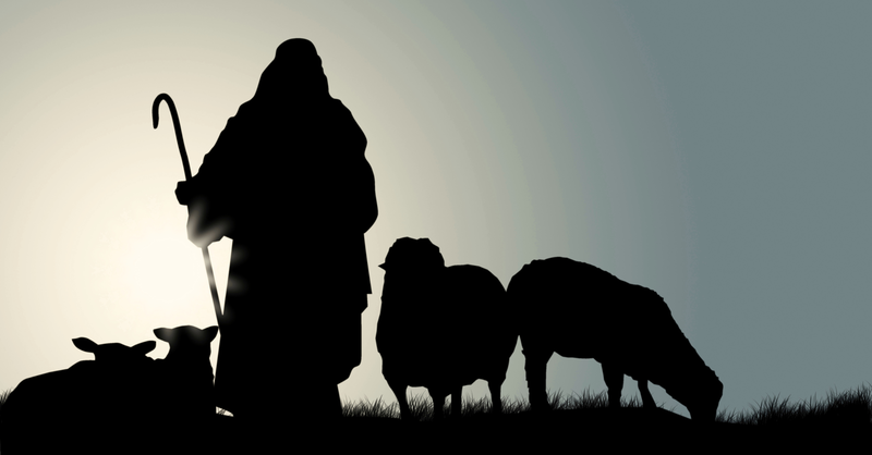 4th Sunday of Easter