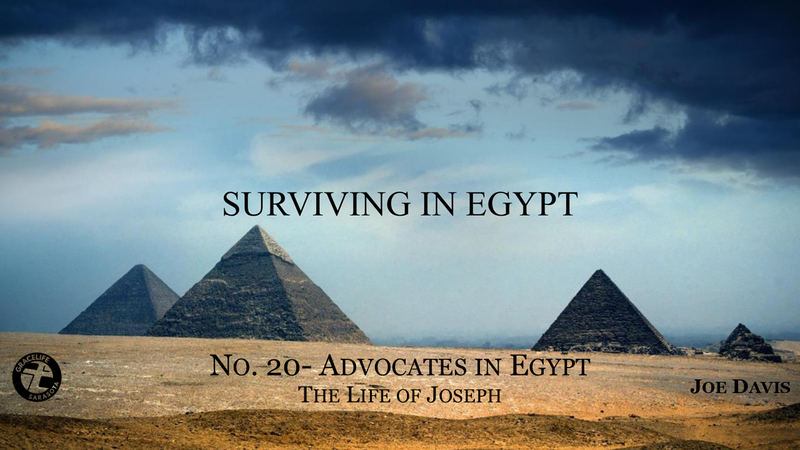 No.20- Advocates in Egypt