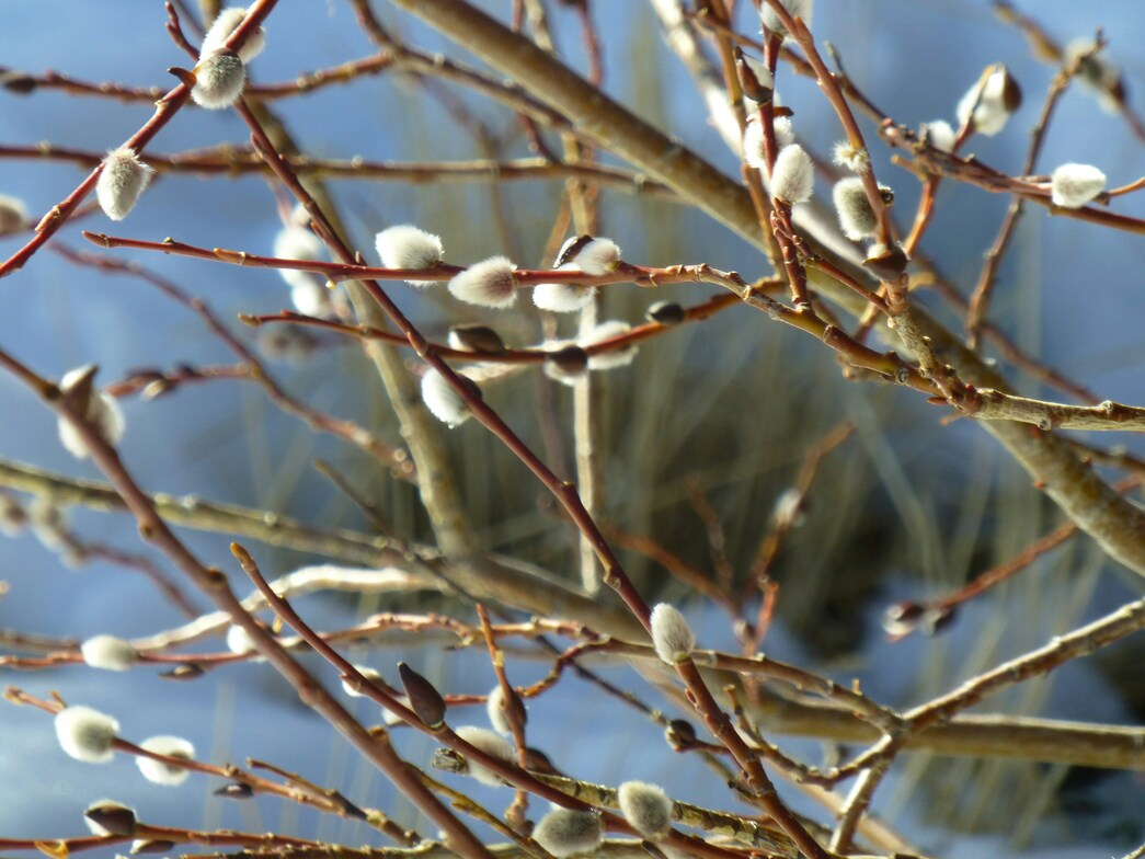Slideshow image