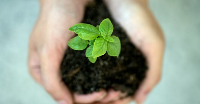 ENTRUST: Stewardship Module 