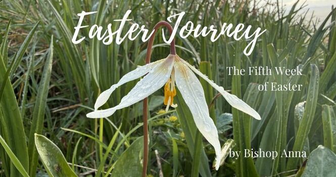 A Message for the Fifth Sunday of Easter