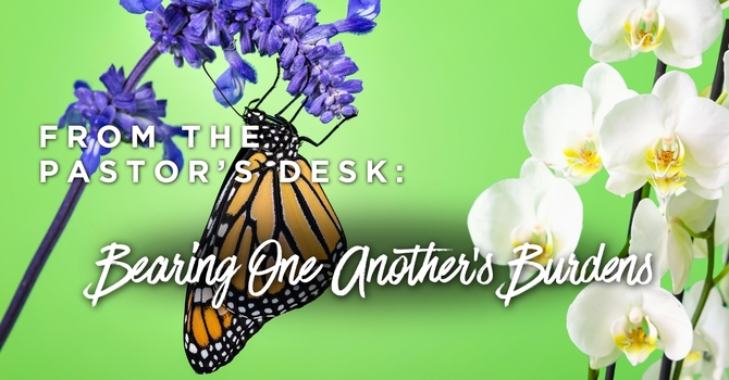 Bearing One Another's Burdens