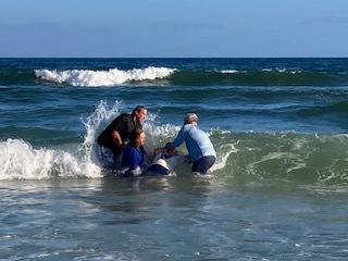 Slideshow image