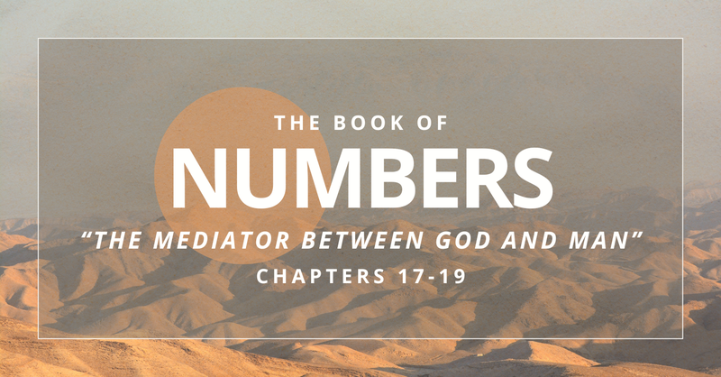 The Mediator Between God and Man