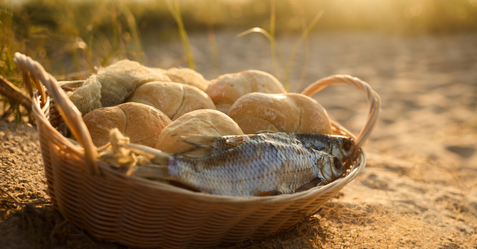 Community Forum: An Evening with Loaves and Fishes