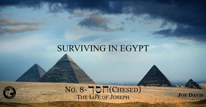 No. 8- CHESED