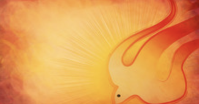 Pentecost Sunday!