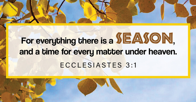 May 3, 2026 Church Bulletin image