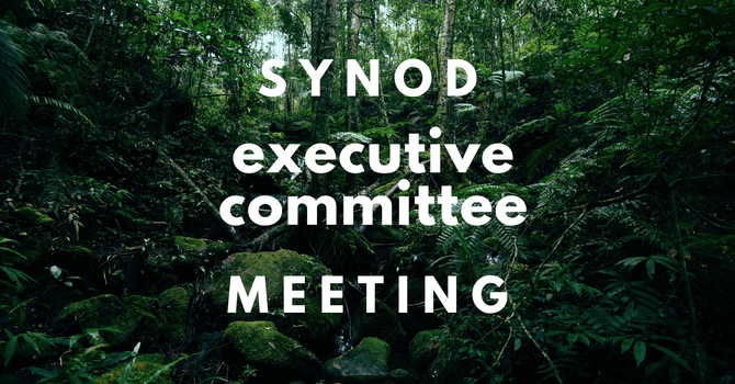 Executive Committee Meeting