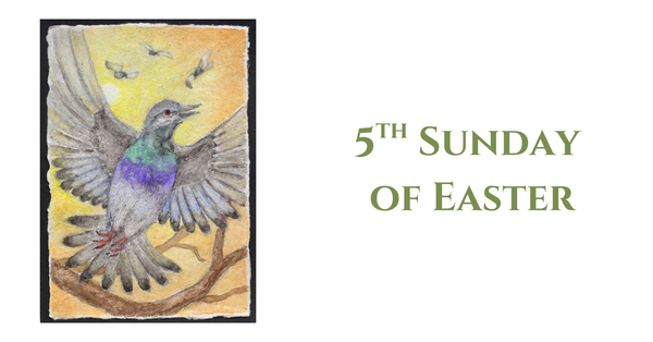 5th Sunday of Easter