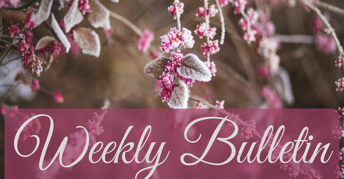 Bulletin for May 2 & 3, 2026 image