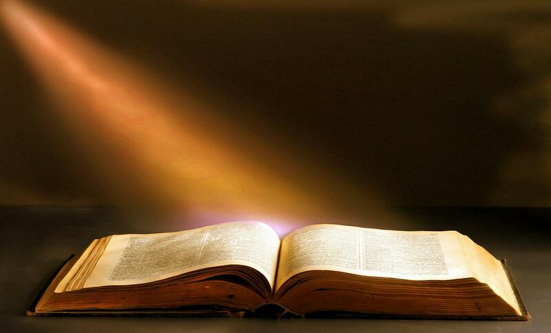 Shaped by the Reign of God