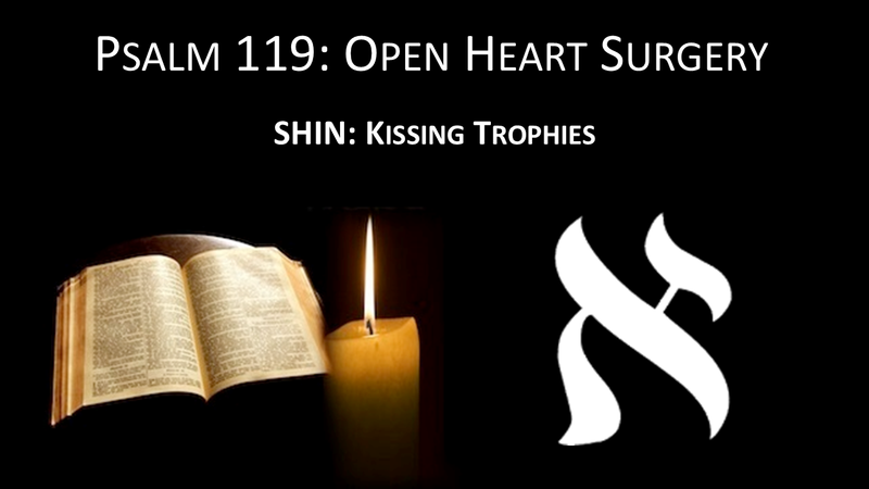 #21: SHIN- Kissing Trophies