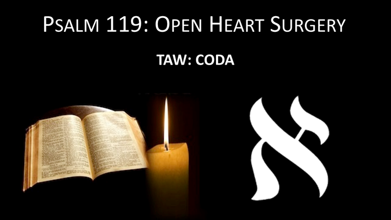 #22: TAW- CODA