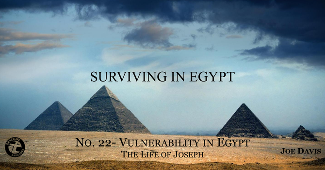 No.22- Vulnerability in Egypt