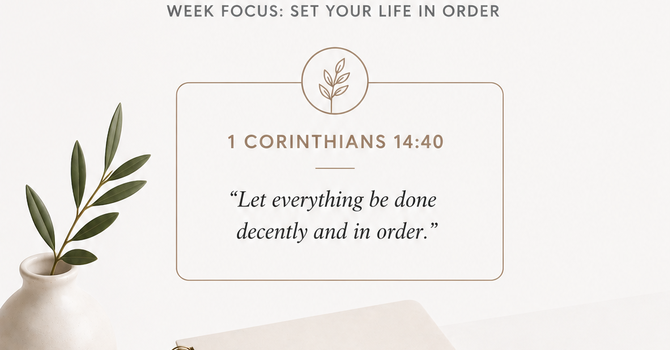 My Life Reflects My Order image