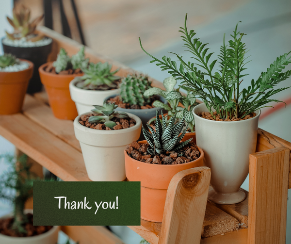 EarthCare plant sale