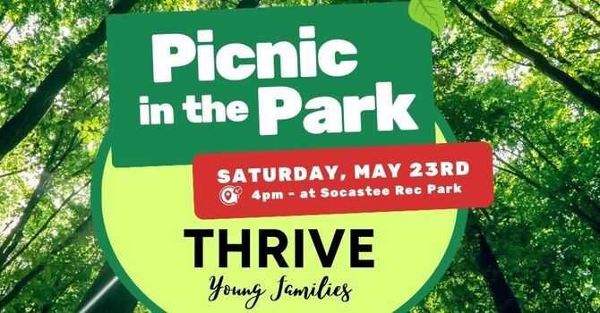 Thrive Young Families Picnic in the park