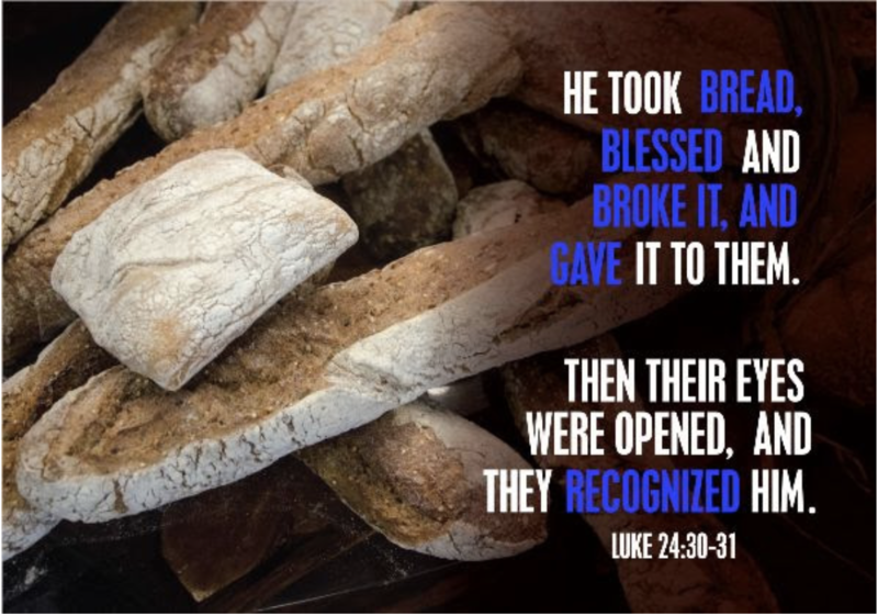 Jesus Our Companion- In the Breaking of the Bread