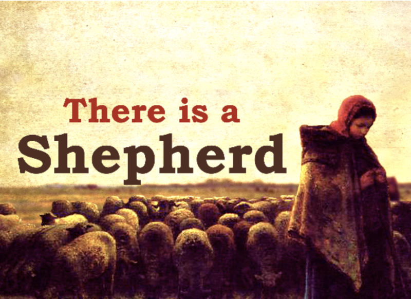 There is a Shepherd