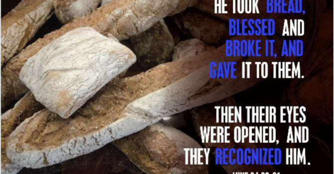 Jesus Our Companion- In the Breaking of the Bread