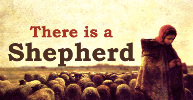 There is a Shepherd