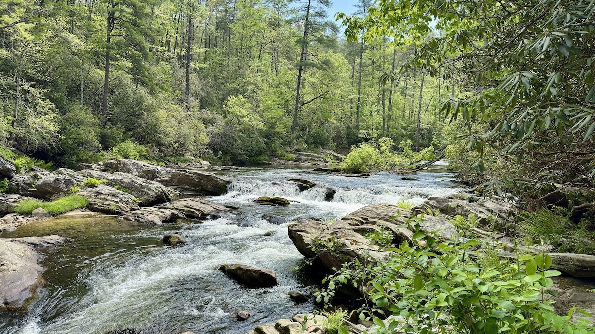 Slideshow image