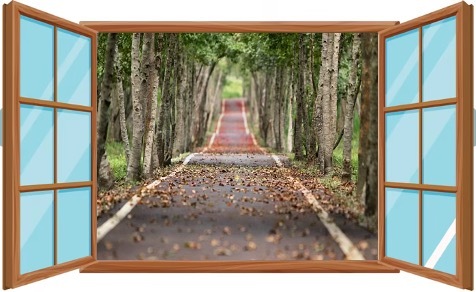 Slideshow image