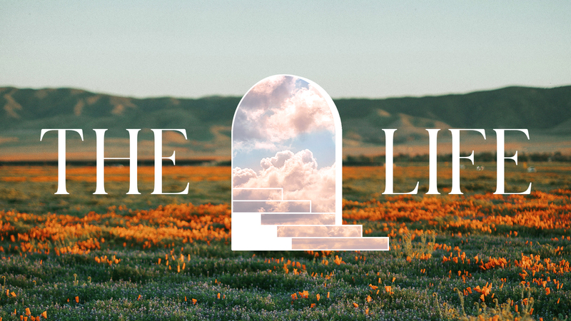 The Life (Week 2)