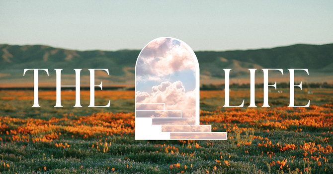 The Life (Week 3)