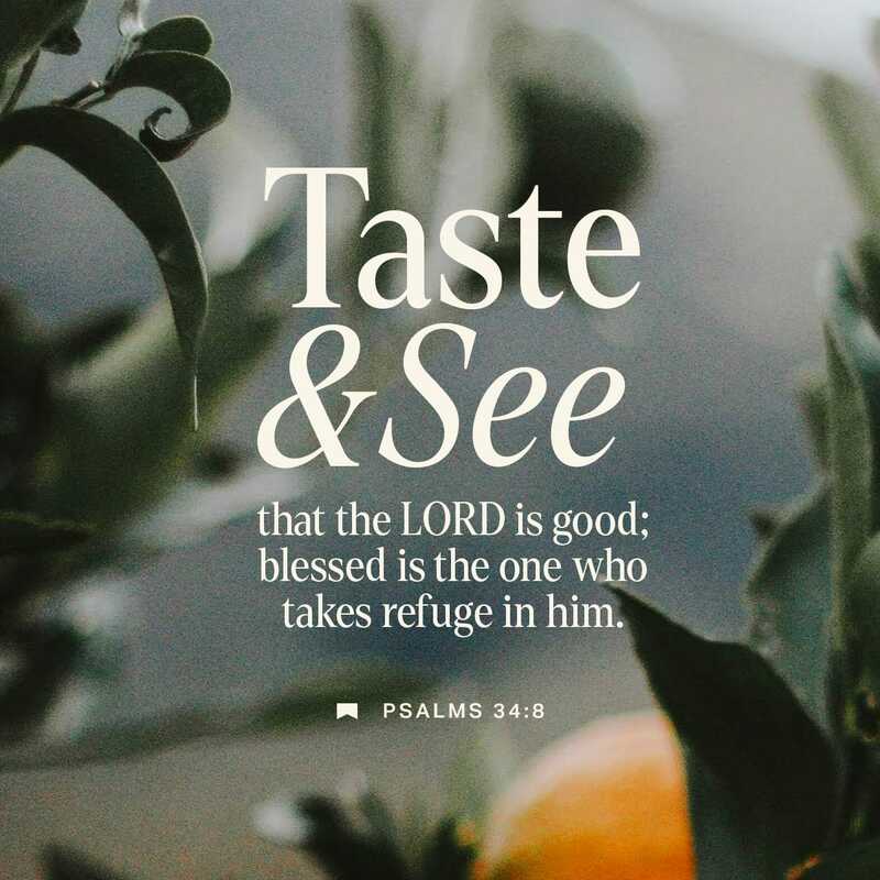 "Taste & See"