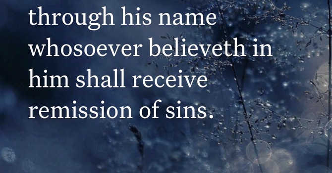 Fully Forgiven  image