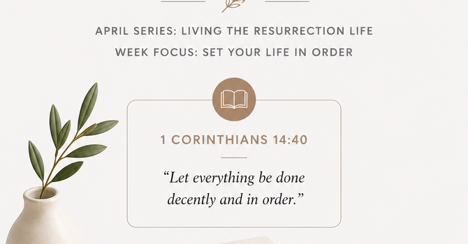 SUNDAY REFLECTION - Living in Alignment image