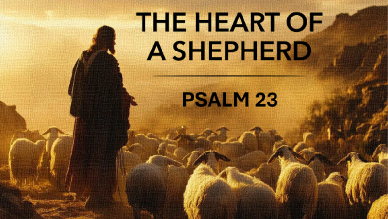 The Heart of a Shepherd
