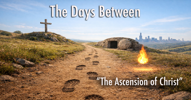 The Days Between