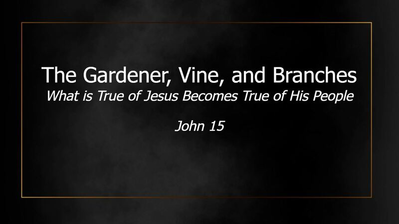 The Gardener, The Vine, and the Branches