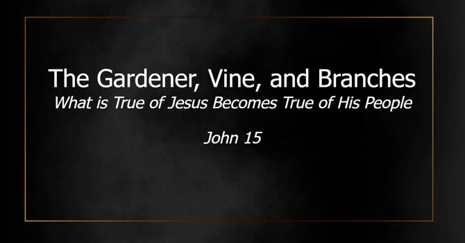 The Gardener, The Vine, and the Branches