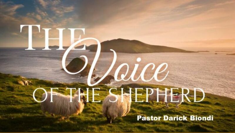 The Voice of the Shepherd