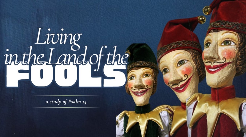 Living in the Land of the Fools