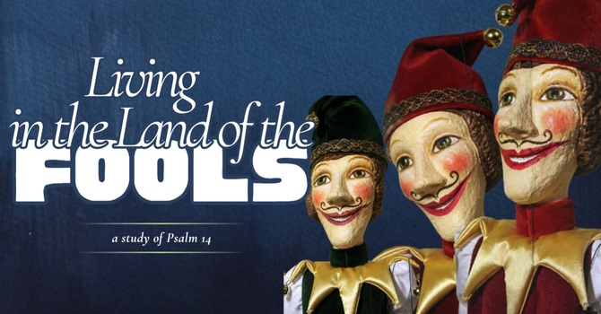 Living in the Land of the Fools
