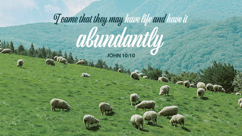 4th Sunday of Easter