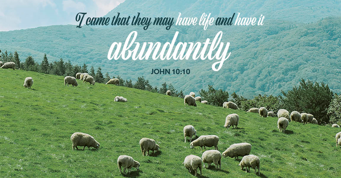 4th Sunday of Easter