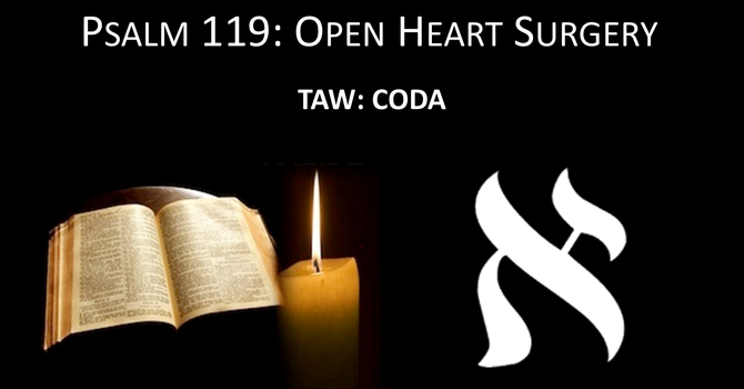#22: TAW- CODA