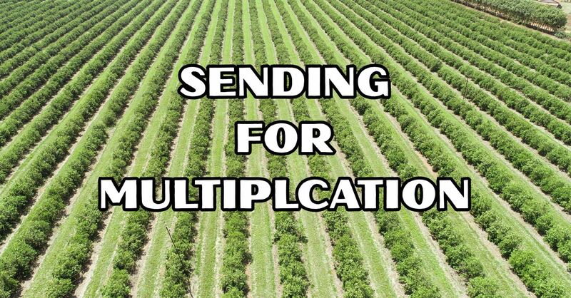 Sending for Multiplication
