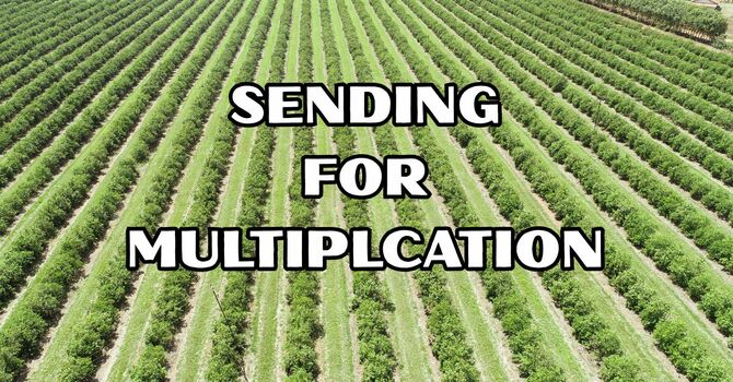 Sending for Multiplication