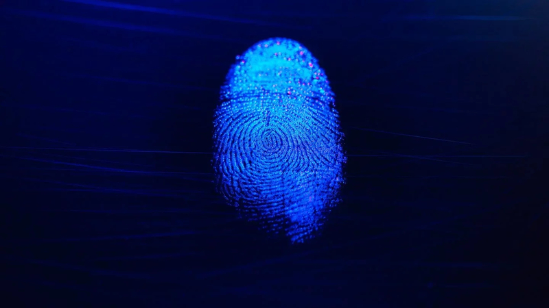 Tracing The Fingerprints Of God