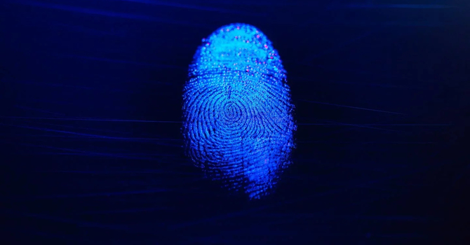 Tracing The Fingerprints Of God