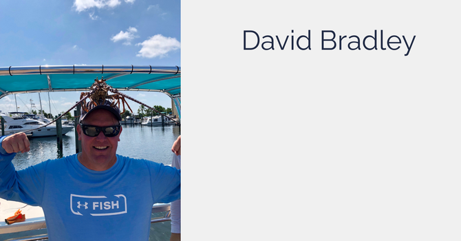 Testimonial: David Bradley image