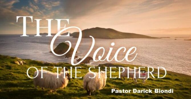 The Voice of the Shepherd