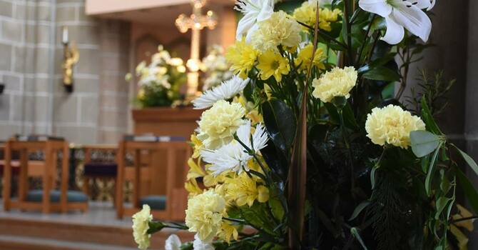 New Life in Christ: